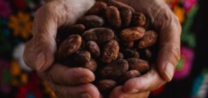 Read more about the article As Cocoa Prices Rise Steadily, Consumers Concerned on ‘How Much Higher?’