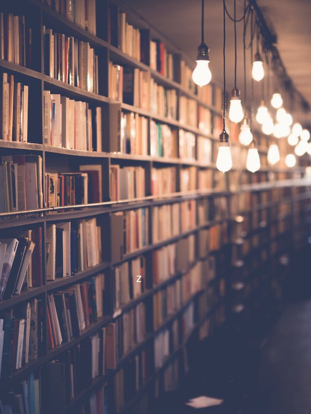 Read more about the article 5 Biggest Libraries In the World